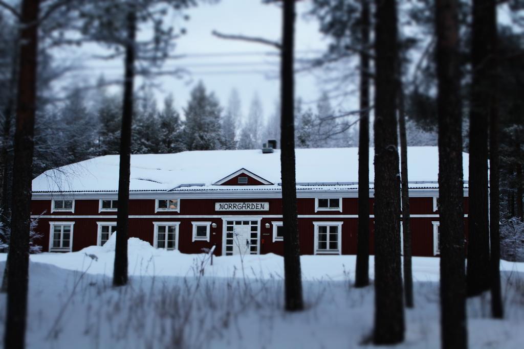 Svanstein Lodge מראה חיצוני תמונה